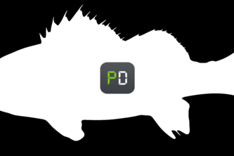 ill-tempered-sea-bass