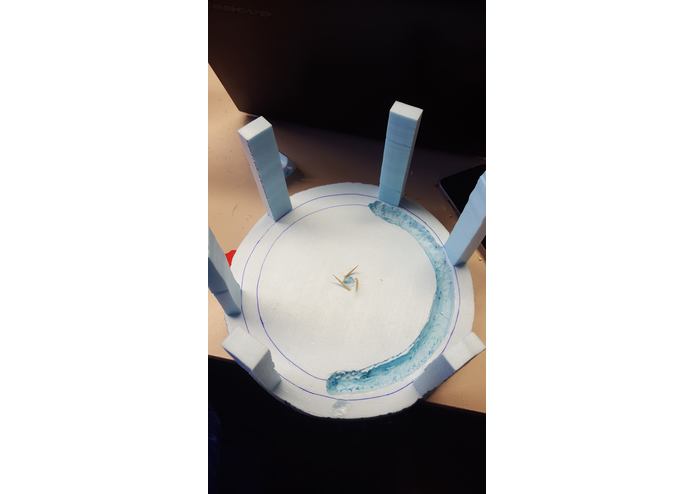 Potential Wheel – screenshot 1