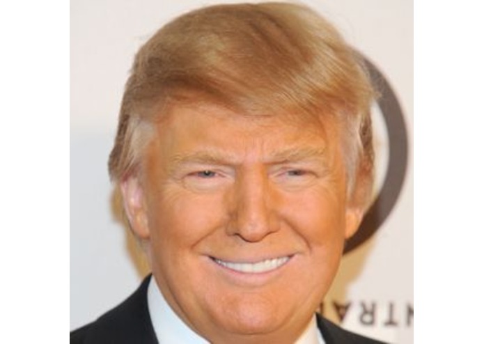 Make The Internet Great Again – screenshot 1