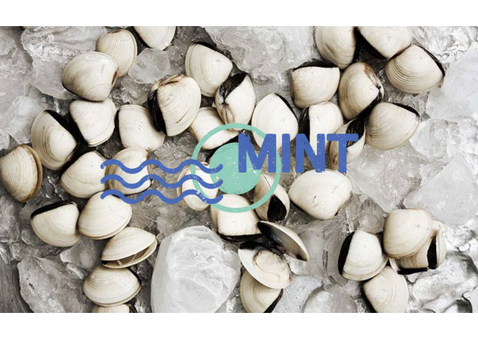 Mint – screenshot 1