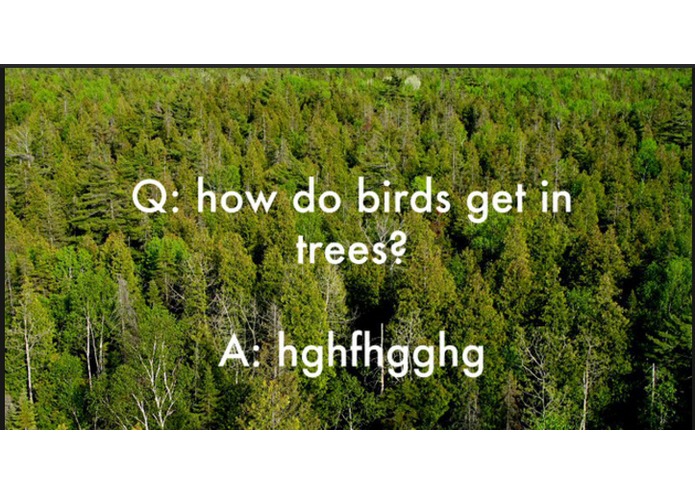 hghfhgghg – screenshot 2