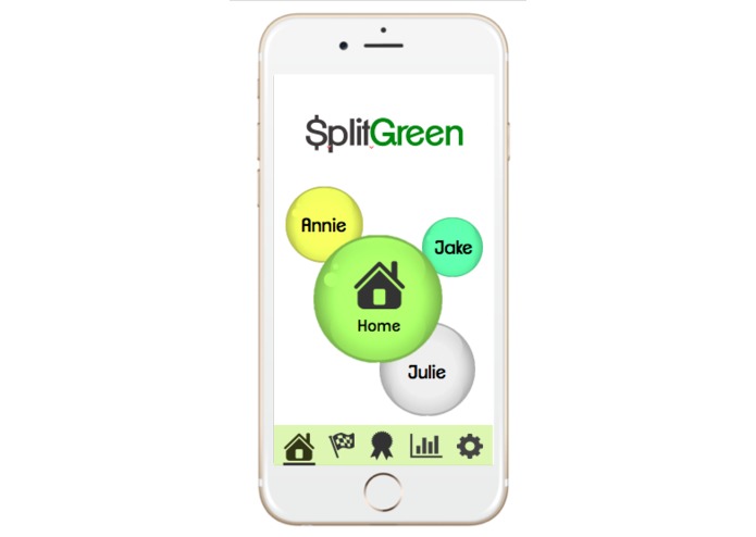 SplitGreen – screenshot 2