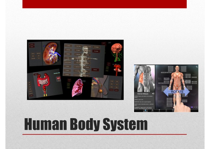 Human Body App – screenshot 5