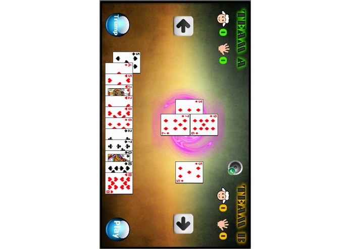 Mendhicoat (Cards Game) – screenshot 3
