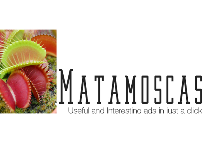 Matamoscas – screenshot 1