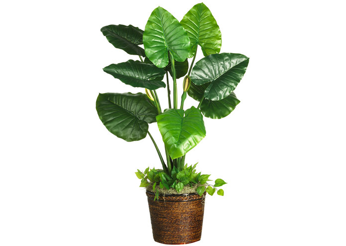 PlantOS – screenshot 1