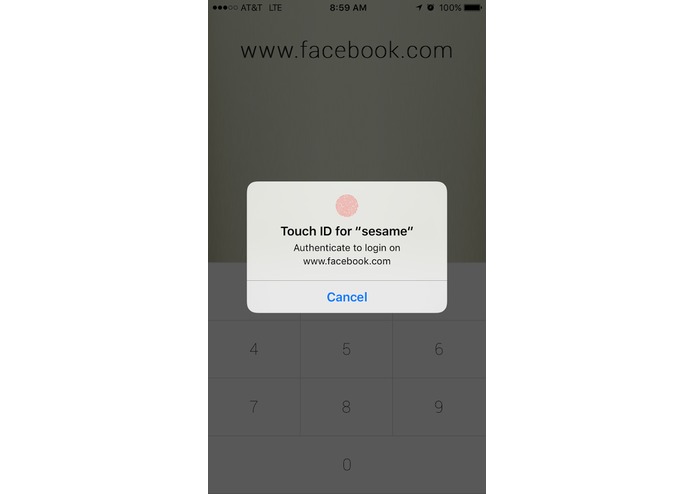 Sesame – screenshot 2