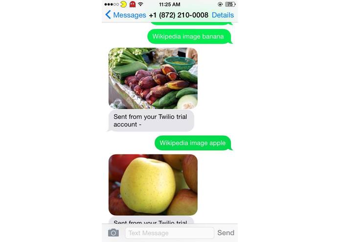 Wikilio – screenshot 4