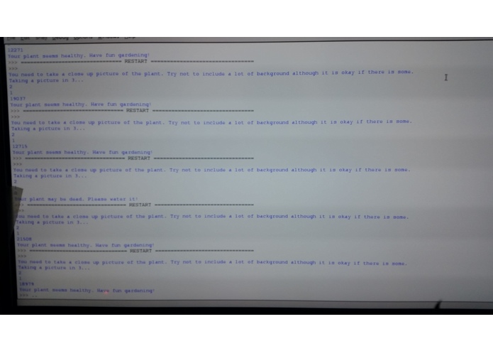 Salutis Vitae (Health of Life) – screenshot 1