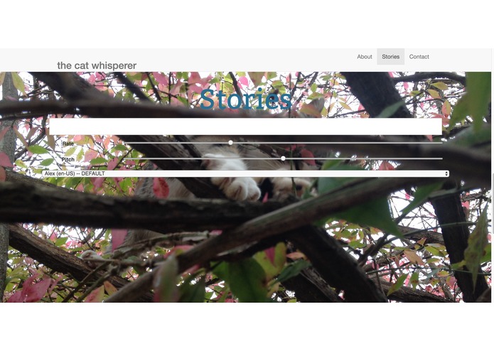 The Cat Whisperer – screenshot 1