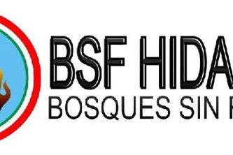 BSF-Hidalgo