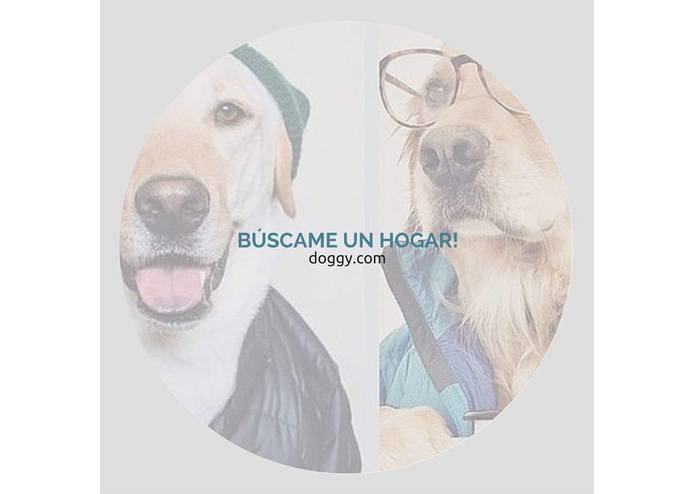 doggy – screenshot 1