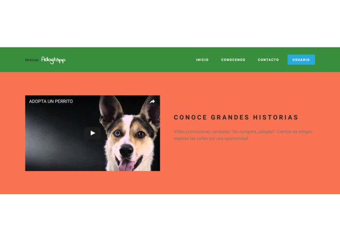 Adogtapp – screenshot 8