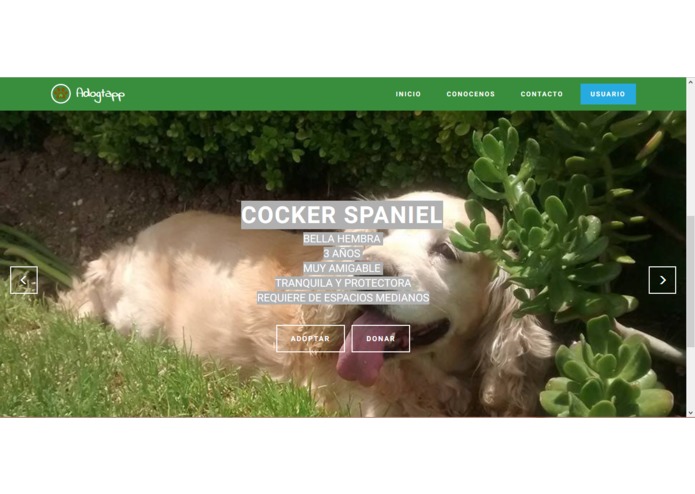 Adogtapp – screenshot 11