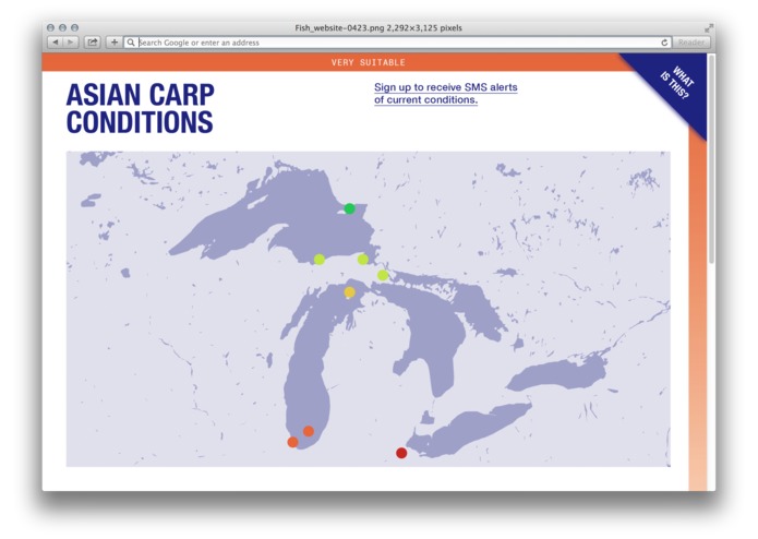 Stopping the Carp InvAsian – screenshot 1