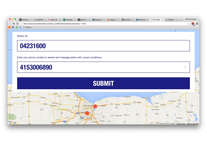 Stopping the Carp InvAsian – screenshot 4