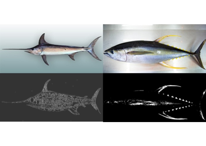 Mobile Fish Management System – screenshot 1