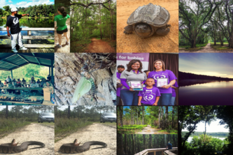 trailahassee-screensaver