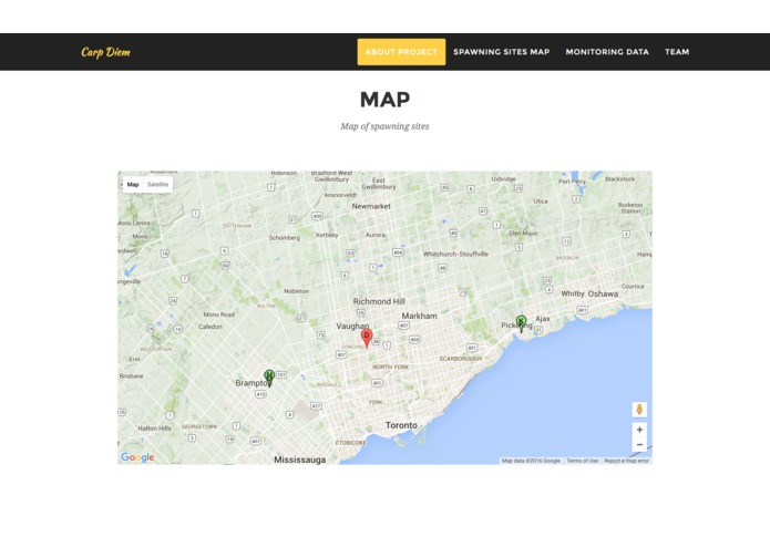 salted-fish – screenshot 3