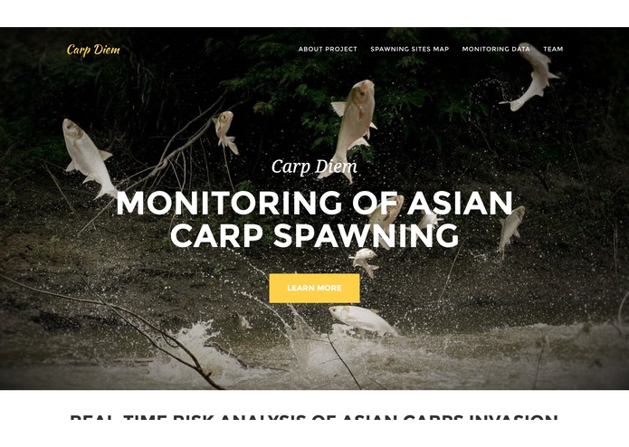 salted-fish – screenshot 1