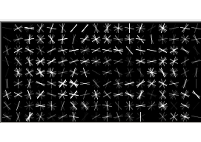 Fish ID – screenshot 1