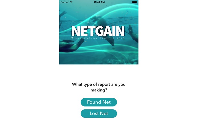 NetGain – screenshot 1