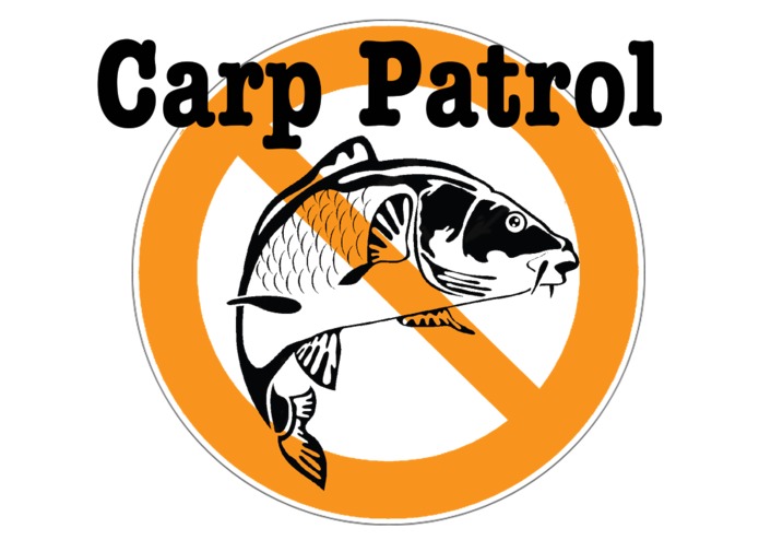 Carp Patrol – screenshot 1