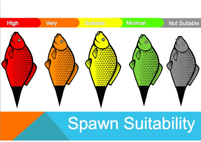 Carp Patrol – screenshot 2