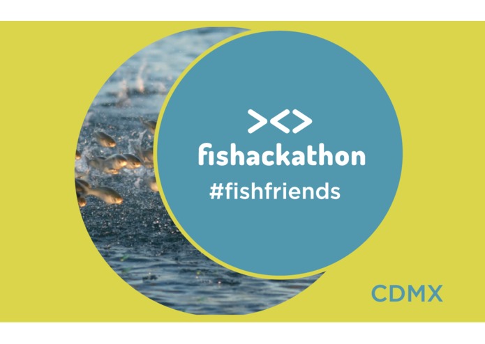 IDentyFish – screenshot 1