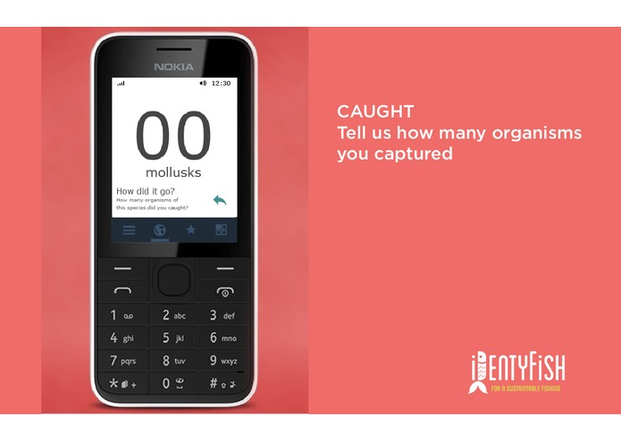 IDentyFish – screenshot 12