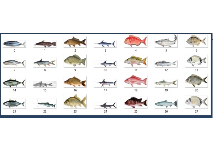 DataFish – screenshot 2