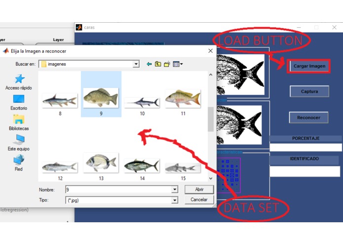 DataFish – screenshot 4