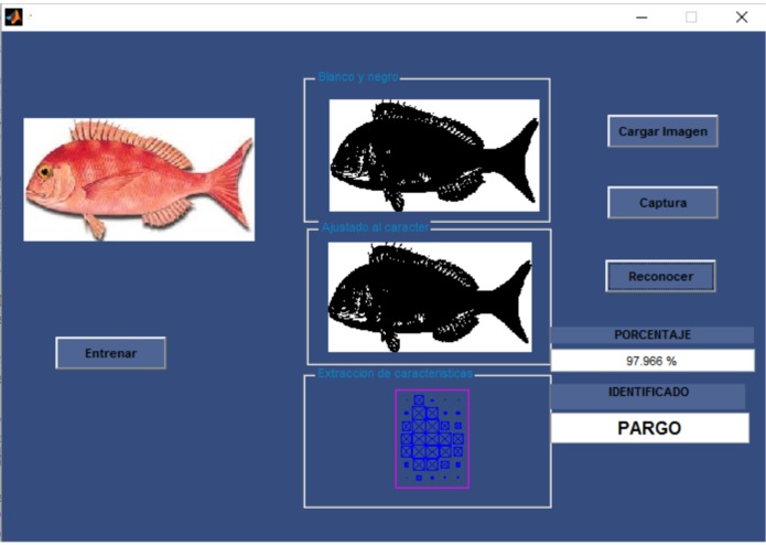 DataFish – screenshot 5