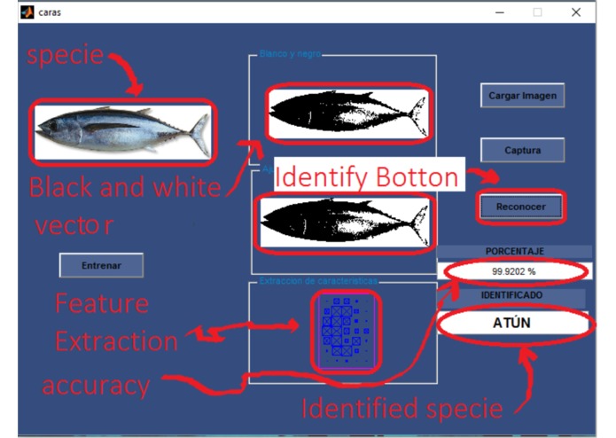 DataFish – screenshot 6