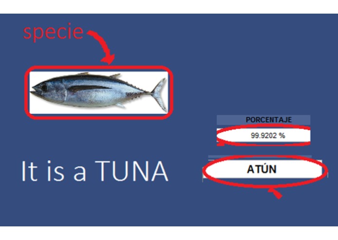 DataFish – screenshot 7