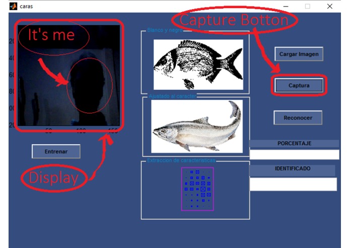 DataFish – screenshot 8