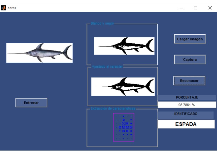 DataFish – screenshot 9