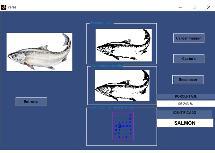 DataFish – screenshot 10