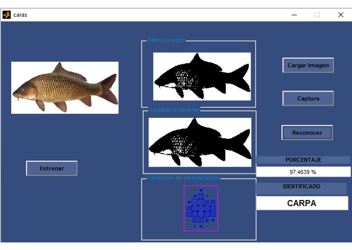 DataFish – screenshot 11
