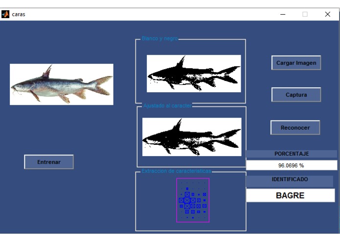 DataFish – screenshot 12