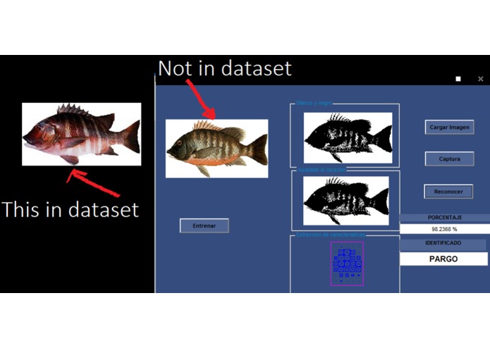 DataFish – screenshot 13