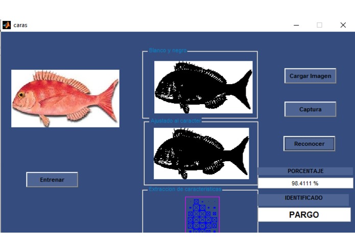 DataFish – screenshot 14