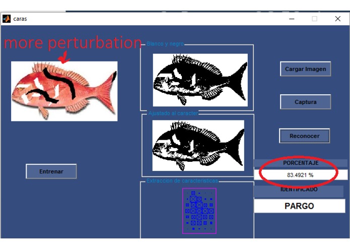 DataFish – screenshot 15