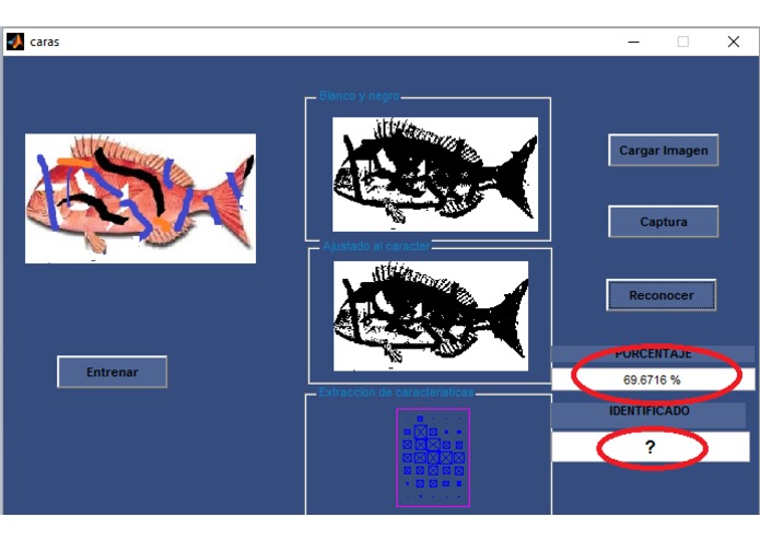 DataFish – screenshot 16