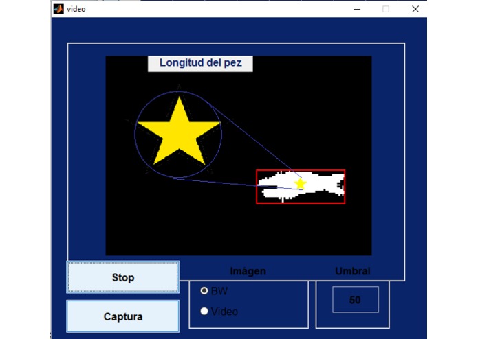 DataFish – screenshot 18