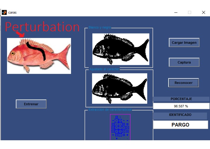 DataFish – screenshot 19