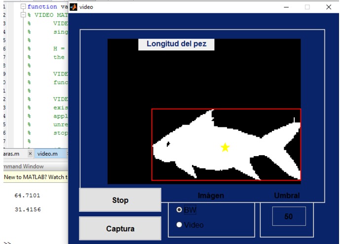DataFish – screenshot 21