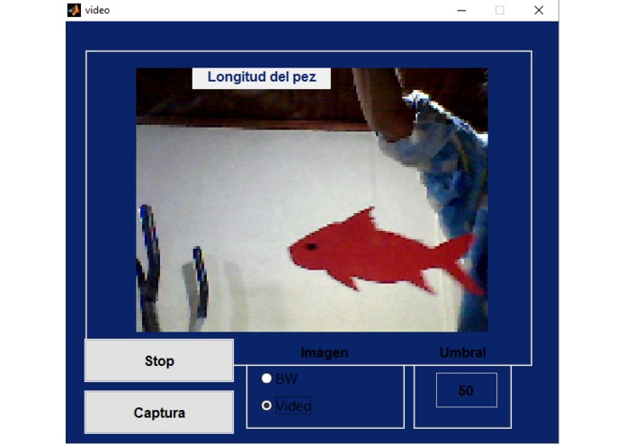DataFish – screenshot 22