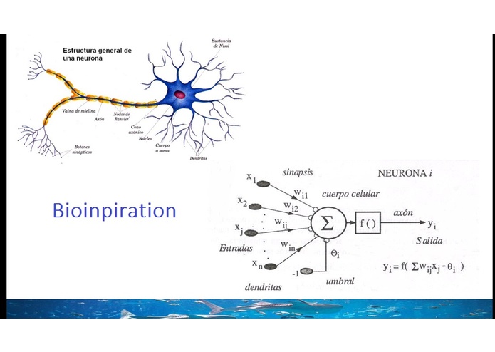 DataFish – screenshot 25