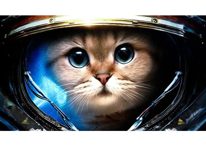 Space Kitties – screenshot 1
